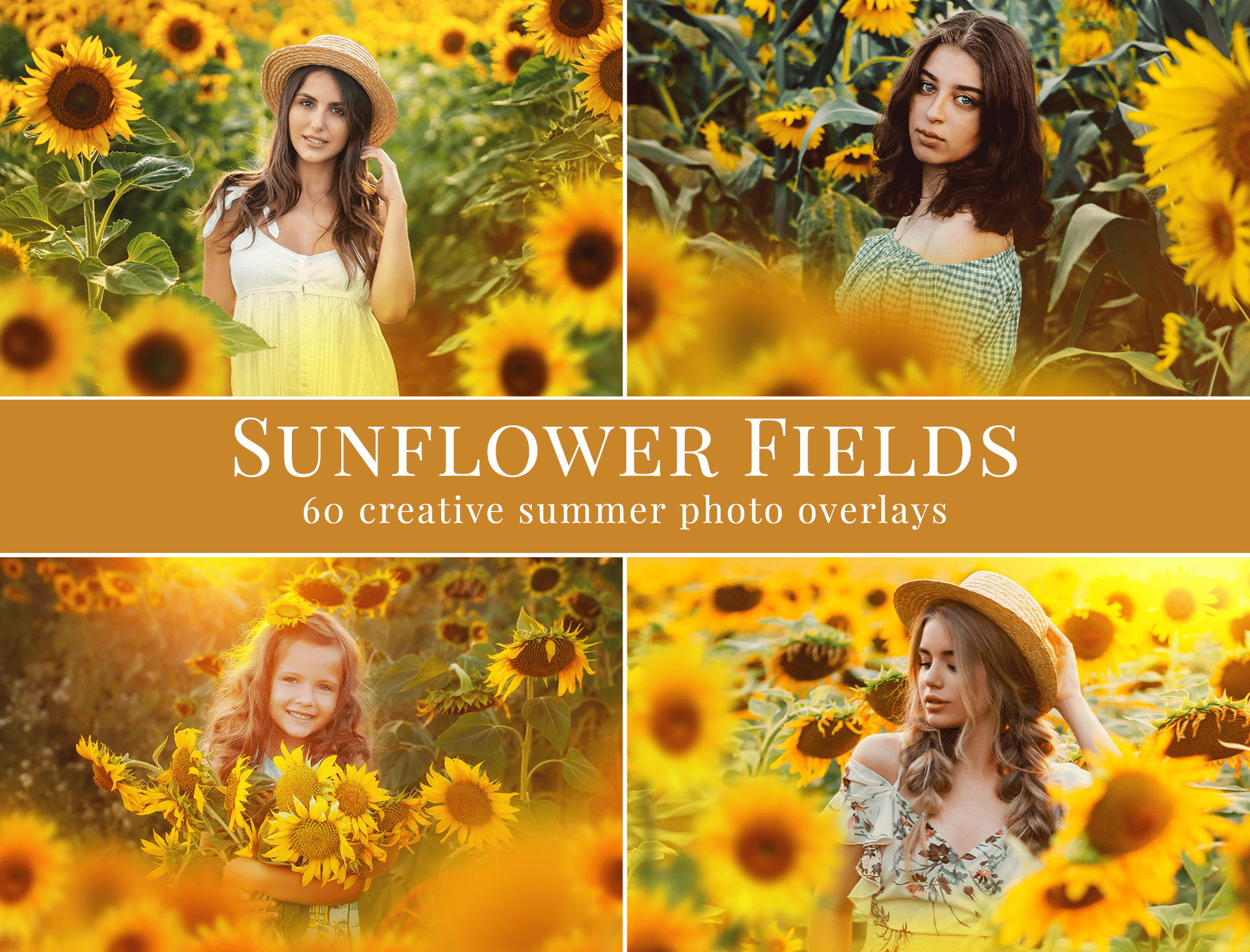 sunflower photo overlays